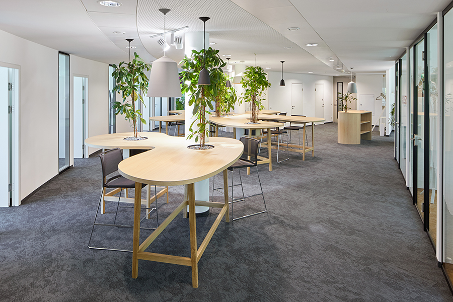 IP Österreich Multichannel Marketingagentur, Wien 2024