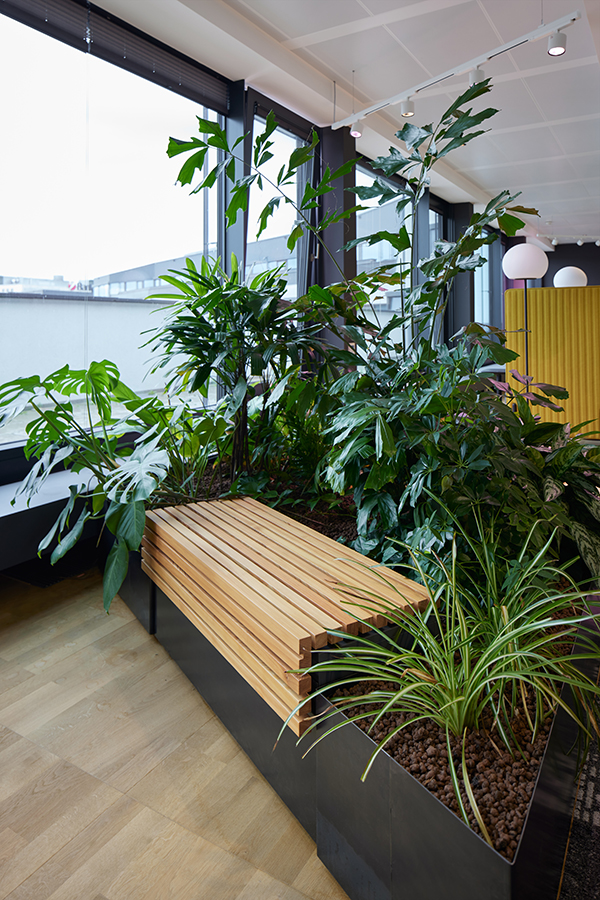 Mavie Med Holding GmbH, Wien 2025