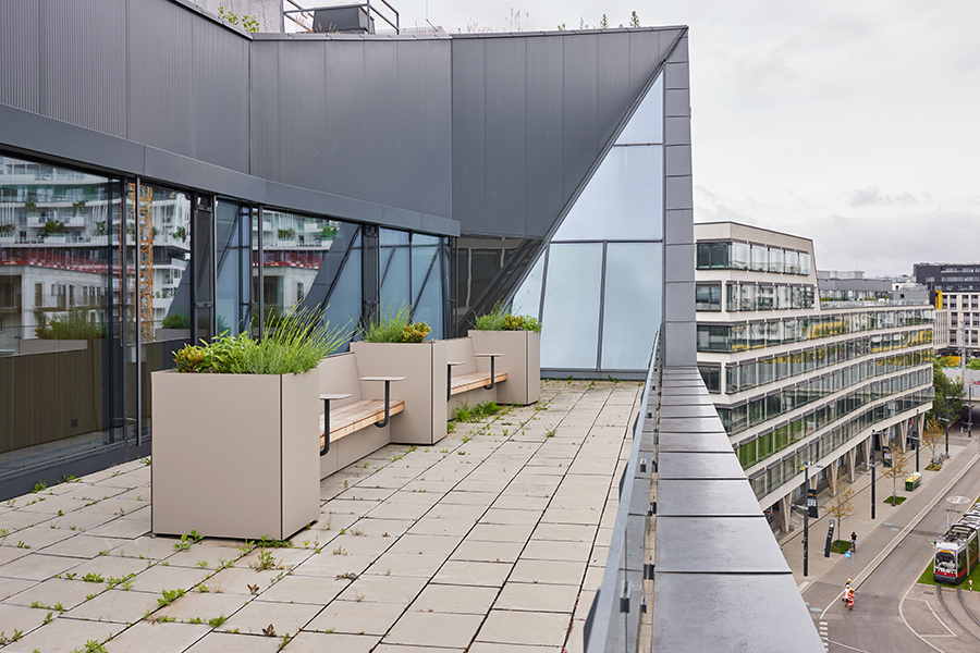 Mavie Med Holding GmbH, Wien 2025